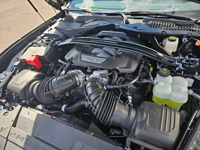 2025 Ford Mustang Dark Horse