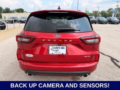 2024 Ford Escape ST-Line