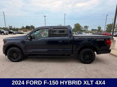2024 Ford F-150 XLT